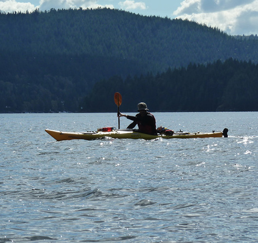 rowing